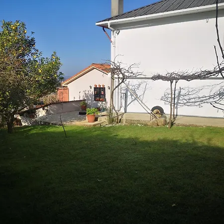 Casal De Perros A Coruna